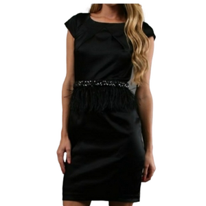 Alexia Admor Black Ostrich Feather Beads Sequin Satin Dress A-Line Cap Sleeve XS